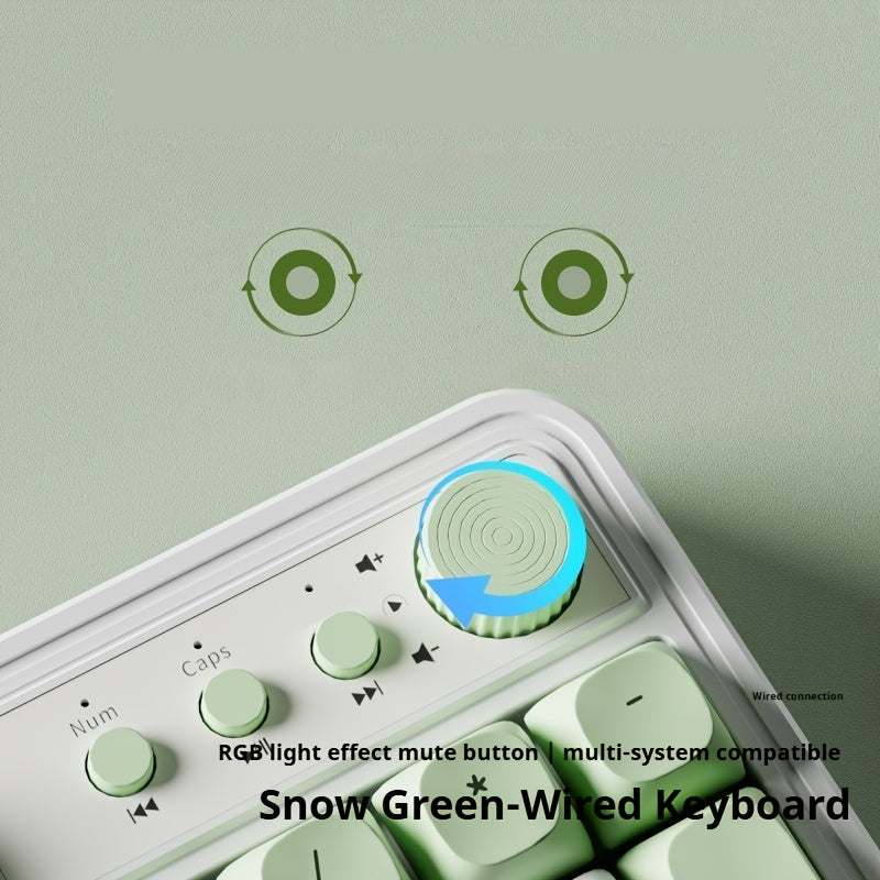 EWEADN Wired Silent Gaming Keyboard with Rainbow Backlight, Quiet Typing Keys