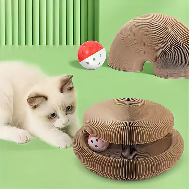 Kitty kurlz Magic Organ Cat Scratcher Board Cat Ball Adventure The Ultimate Interactive Mental Physical Exercise for Indoor Cats Toy